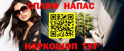 СК Краснознаменск