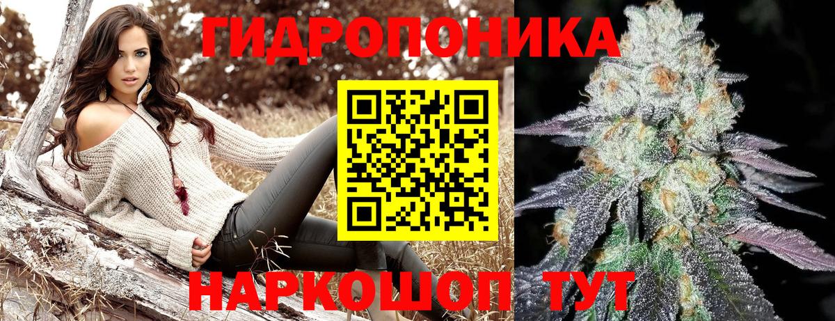 Кингисепп  Бошки марихуана VHQ  Каннабис тримм  Вход с VPN  Канабис LSD WEED  Шишки марихуана сатива 