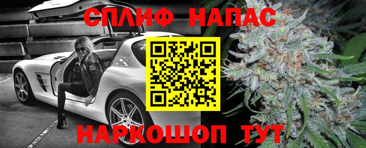 Конопля конопля Кингисепп